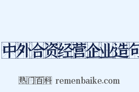 中外合资经营企业造句是什么意思的图片